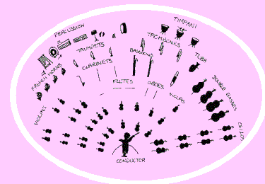 Orchestra for Children Orchestra for Children